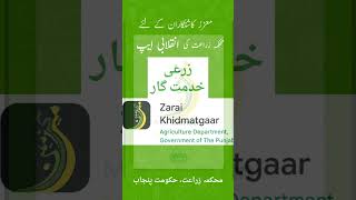 Zarai Khidmatgar App  زرعی خدمت گار ایپ  محکمہ زراعت، حکومت پنجاب [upl. by Olaf]