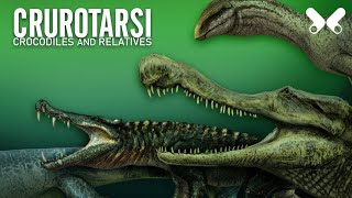 PREHISTORIC CROCODILES AND RELATIVES Size comparison Crurotarsi Pseudosuchia [upl. by Desta558]