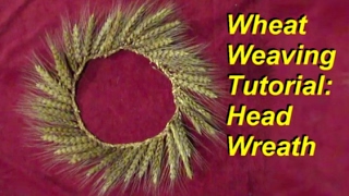 Wheat Weaving Tutorial Head Wreath  Crown [upl. by Alfred]