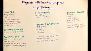 pregnancy diagnosis amp differential diagnosis [upl. by Feldstein]