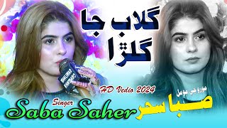 Gulab Ja Gulra New Sindhi  Singer Saba Saher  New Song 2024 [upl. by Dlawso290]