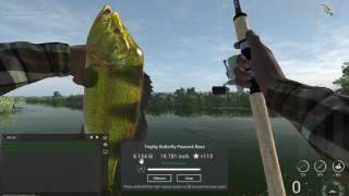 Fishing Planet Unique Peacock Bass [upl. by Asile]