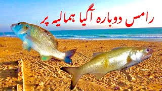 himaliya fishing hawkes bay fishing hawkes bay himaliya  karachi fishing ramas fishing [upl. by Nevuer]