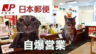 日本郵便に新卒で入社したお話【猫ミーム】＃猫ミーム＃猫マニ [upl. by Ferd]