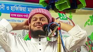 2024 হাফেজ হযরত মাওঃ মোঃ Bangla Waz bangla PAGLA Tv [upl. by Duston]