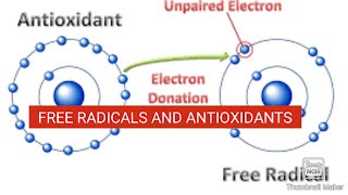 Free Radicals and Antioxidants  Biochemistry [upl. by Cori227]