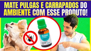 95 dos CARRAPATOS e PULGAS estão no Ambiente MATE O FOCO DOS PARASITAS APRENDA SOBRE O BUTOX [upl. by Rochette]