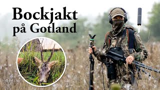 Jaktresan Bockjakt på Gotland [upl. by Bryan576]