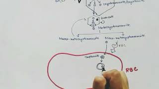 life cycle of plasmodium vivax [upl. by Diamond]