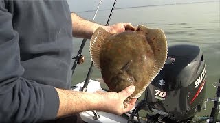 Fishing for Flatfish  Rigs Tips amp Tactics  CATCH MORE FISH [upl. by Yule]