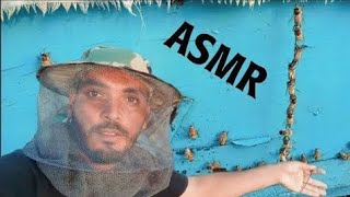 ASMR Honey Bee Farm Tour 🐝 [upl. by Matias]