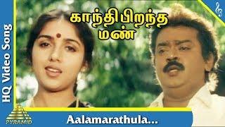 Aalamarathula Song Gandhi Pirantha Mann Tamil Movie Songs  Vijayakanth  Revathi  Pyramid Music [upl. by Nnazus959]