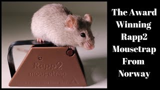 The Award Winning Rapp2 Mousetrap From Norway Mousetrap Monday [upl. by Dela]