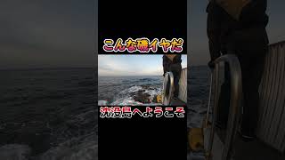 【衝撃】え···この磯行くの···？ fishing shorts fishingvideo 磯釣り [upl. by Jill666]