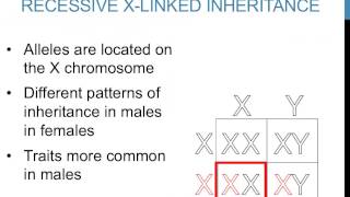 Patterns of inheritance [upl. by Stimson]