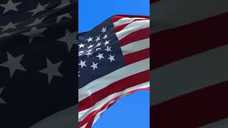 Honoring our Veterans  Veterans Day YouTube Shorts Video [upl. by Jala]