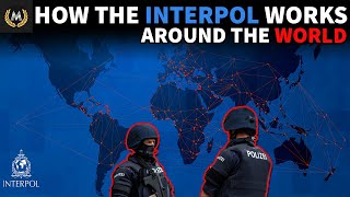 What Is The INTERPOL [upl. by Pattani]