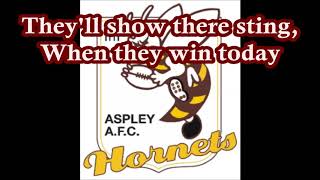 Aspley Hornets theme song Lyrics  NEAFL Version [upl. by Oicneconi]