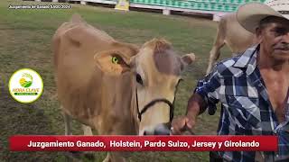 Juzgamiento de Ganado Holstein Pardo Suizo y Jersey Parte 1 Sago 2024 [upl. by Bernadine]