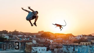 Parkour vs Monkeys 🇮🇳 [upl. by Cole991]