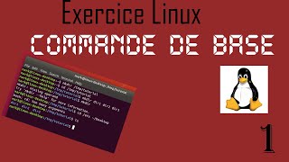 Exercice Linux 1  Commande de base [upl. by Novart]