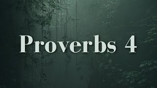 Proverbs 4  Wisdom is the Principal Thing Therefore Get Wisdom With Words KJV [upl. by Adnilahs]