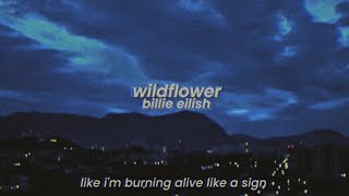 billie eilish  wildflower slowed  reverb with lyrics [upl. by Noyart]