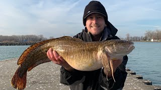 Catching a RARE Fish BURBOT in LAKE ERIE Catch and Cook EELPOUT [upl. by Patience]