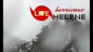 LIVE From Lake Jackson Tallahassee Florida Hurricane Helene Cam NEW [upl. by Robertson]