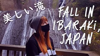 Fall Day Trip to Fukuroda Falls Ibaraki Japan [upl. by Lirba]