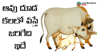 Aavu Dhooda Kalalo Kanipisthe  Laxmi Devotional  Kalalu Vati Phalithalu  Cow In Dreams  Calf [upl. by Ertnod]