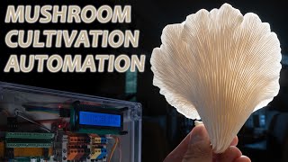 Mushroom Cultivation Automation DIY From Foraging to Fruiting [upl. by Rees26]