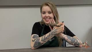 Snakes with Samantha featuring a Motley Boa Constrictor [upl. by Brenna]