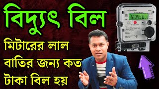 বিদ্যুৎ মিটারের লাল বাতির জন্য কত টাকা বিল আসে  Electric meter red light  electricbill [upl. by Gaile]