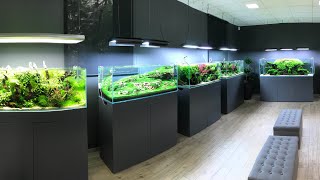 AMAZING AQUASCAPE TOUR at Green Aqua Budapest [upl. by Vieva]