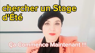 Chercher un stage dEté ça commence Maintenant  Conseils pratiques [upl. by Nhguaval]