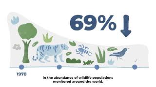 Procter amp Gamble  PampG Support for Natural Ecosystems [upl. by Ronacin]