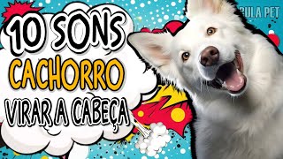 DEIXE SEU CÃO CURIOSO  10 SONS PARA DEIXAR QUALQUER CACHORRO CURIOSO  BARULHO [upl. by Ebeohp]