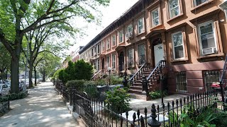 Stuyvesant Heights rental 323 Macon st [upl. by Saraann]