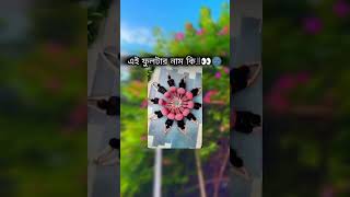 এই ফুলটার নাম কি 👀🌚 banglacomady funny comedyvideo কcomedy memes motivation YouTube [upl. by Akelam]