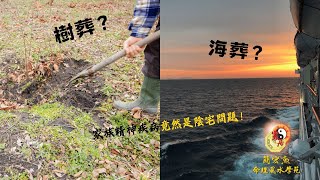 塔位立向竟然這麼重要？陰宅造成後代家族憂鬱症？選擇海葬樹葬好嗎？ [upl. by Nason]