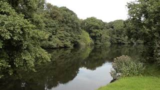 ALDER FARM BRIDESTOWE OKEHAMPTON DEVON [upl. by Airol]