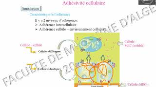 Généralités sur ladhesivité cellulaire [upl. by Swec860]