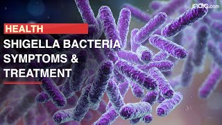 Shigella Bacteria Creates Serious Threat In US Know Symptoms Causes And Treatment [upl. by Zebedee]