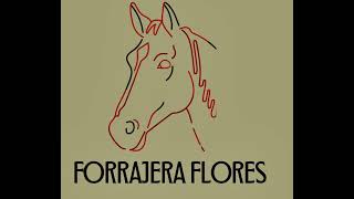 Focus Group Forrajera Los Flores equipo 4 [upl. by Bluma]