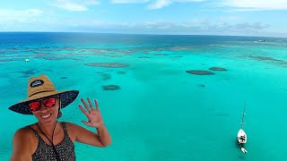 Epic Snorkeling at Fowl Cay Reef amp Water Maker Crisis  Ep 242 [upl. by Ttegirb]