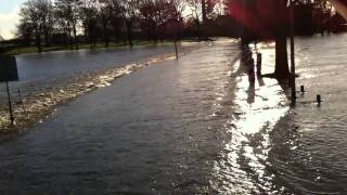 Hoogwater Met evacuatie vrachtwagen Borgharen in [upl. by Ifill]