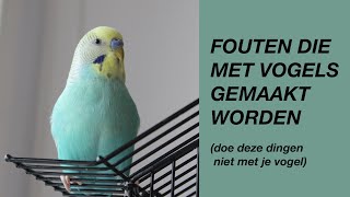 Veelvoorkomende Fouten Die Met Vogels Gemaakt Worden [upl. by Nivrac]