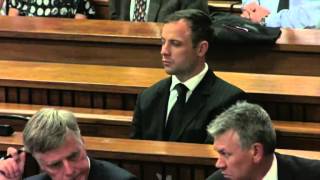 Pistorius offered blood money to Steenkamp family court hears [upl. by Mathre270]