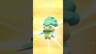 Shiny Fomantis At 769 Eggs PokemonSwordAndShield MasudaMethod Shorts [upl. by Nneb]